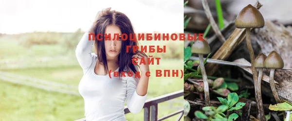 каннабис Надым