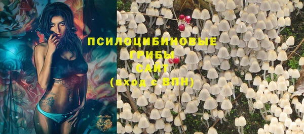 СК Михайловск
