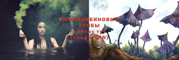индика Навашино