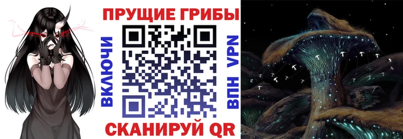 darknet клад  Нариманов  Псилоцибиновые грибы мицелий 
